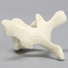 Vertebra, T3, Foam Cortical