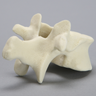 Vertebra, T12, Foam Cortical