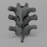 Thoracic, T10-T12, Osteoporotic Vertebrae