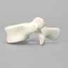 Vertebra, L4, Foam Cortical Shell, For Spinal Navigation