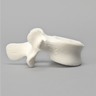 Vertebra, L4, Foam Cortical Shell, For Spinal Navigation