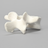 Vertebra, L4, Foam Cortical Shell, For Spinal Navigation