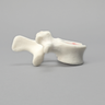 Vertebra, L2, Foam Cortical Shell, For Spinal Navigation