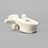 Vertebra, L2, Foam Cortical Shell, For Spinal Navigation
