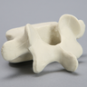 Vertebra, L5, Foam Cortical