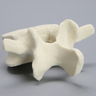 Vertebra, L4, Foam Cortical