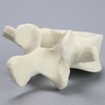 Vertebra, L4, Foam Cortical