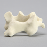 Vertebra, C3, Solid Foam