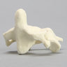 Vertebra, C2, Solid Foam
