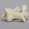 Vertebra, C4, Foam Cortical