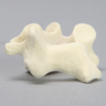 Vertebra, C3, Foam Cortical