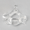 Vertebra C6, Solid Clear Plastic