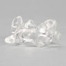 Vertebra C6, Solid Clear Plastic