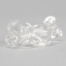 Vertebra C6, Solid Clear Plastic