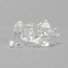 Vertebra C5, Solid Clear Plastic