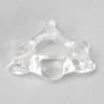 Vertebra C4, Solid Clear Plastic