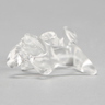 Vertebra C4, Solid Clear Plastic