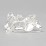 Vertebra C4, Solid Clear Plastic