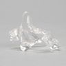 Vertebra C2, Solid Clear Plastic