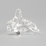 Vertebra C2, Solid Clear Plastic