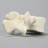 Vertebra, L4, Solid Foam