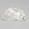 Vertebra C1, Solid Clear Plastic