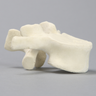 Vertebra, L2, Solid Foam