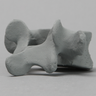 Vertebra, L5, Radiopaque
