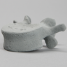 Vertebra, L4, Radiopaque