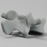 Vertebra, L4, Radiopaque