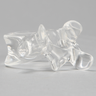 Vertebra L5, Solid Clear Plastic