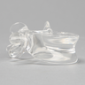 Vertebra L5, Solid Clear Plastic