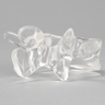 Vertebra L4, Solid Clear Plastic