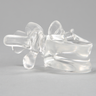 Vertebra L3, Solid Clear Plastic