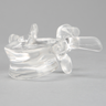 Vertebra L2, Solid Clear Plastic