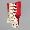 Spine, L1-Sacrum, Lumbar with Muscles, Foam Cortical