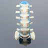 Spine, Lumbar, with L5 Stenosis, Foam Cortical