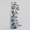 Spine, Cervical , with Anterior Ligament, Radiopaque