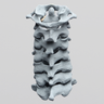 Spine, Cervical , with Anterior Ligament, Radiopaque