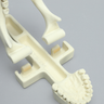 Maxilla with Drill Holes