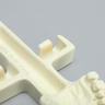 Maxilla with Drill Holes