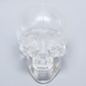Skull, Full, Articulated, Solid Clear Plastic