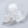 Skull, Full, Articulated, Solid Clear Plastic