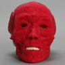 Full Skull, with Muscles