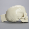 Skull, Full Pediatric, with Vise Attachment