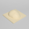 Skull Cap with Dura and Soft Tissue