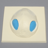 Skull Cap with Dura and Osteotomies