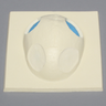 Skull Cap with Dura and Osteotomies