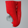 Spine, Lumbar with Muscles, L3-Sacrum, Radiopaque
