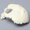 Occipital, Solid Foam